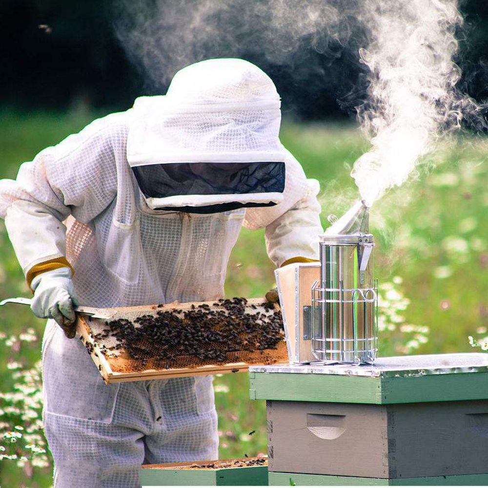 Rauchbläser Smoker Imker Pfeife Imkerpfeife Honig Rauchdose Imkerei