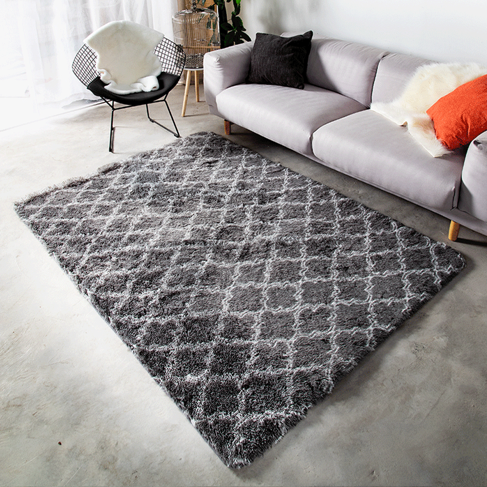 Beautiful Super Soft Modern Indoor Area Rug Carpet For