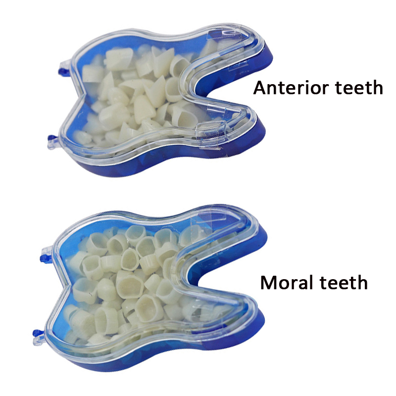 60 Pack Dental Temporary Crowns, Posterior & Anterior Resin Teeth For Dentistry Practice