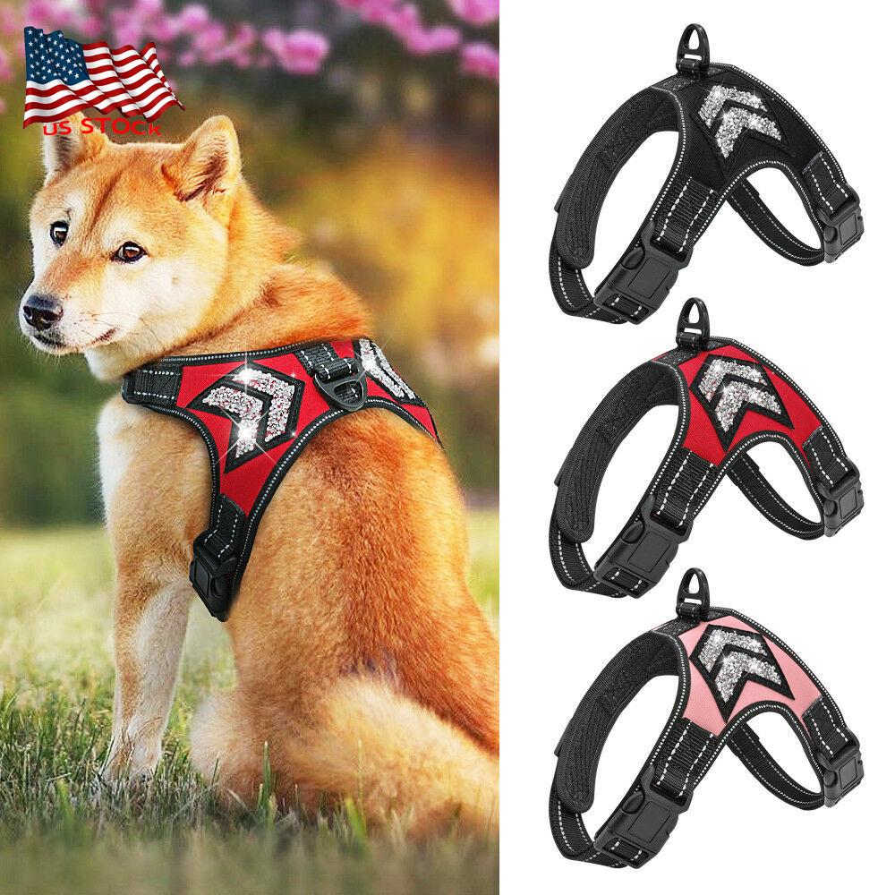 puppy collar harness