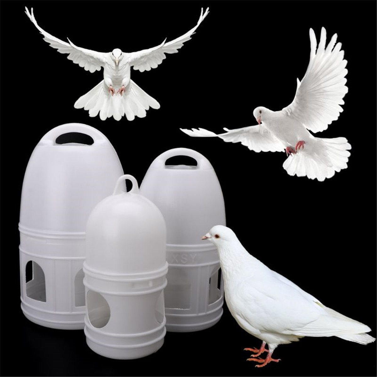 Pigeons Feeder Plastic Water Pot Pet Drinker Dispenser Container Birds Supplies eBay