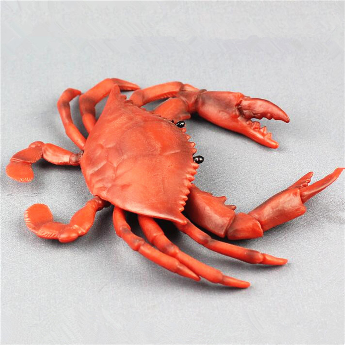 2Pcs Crabe Jouets pour Bébés - Réaliste Mer Maroc