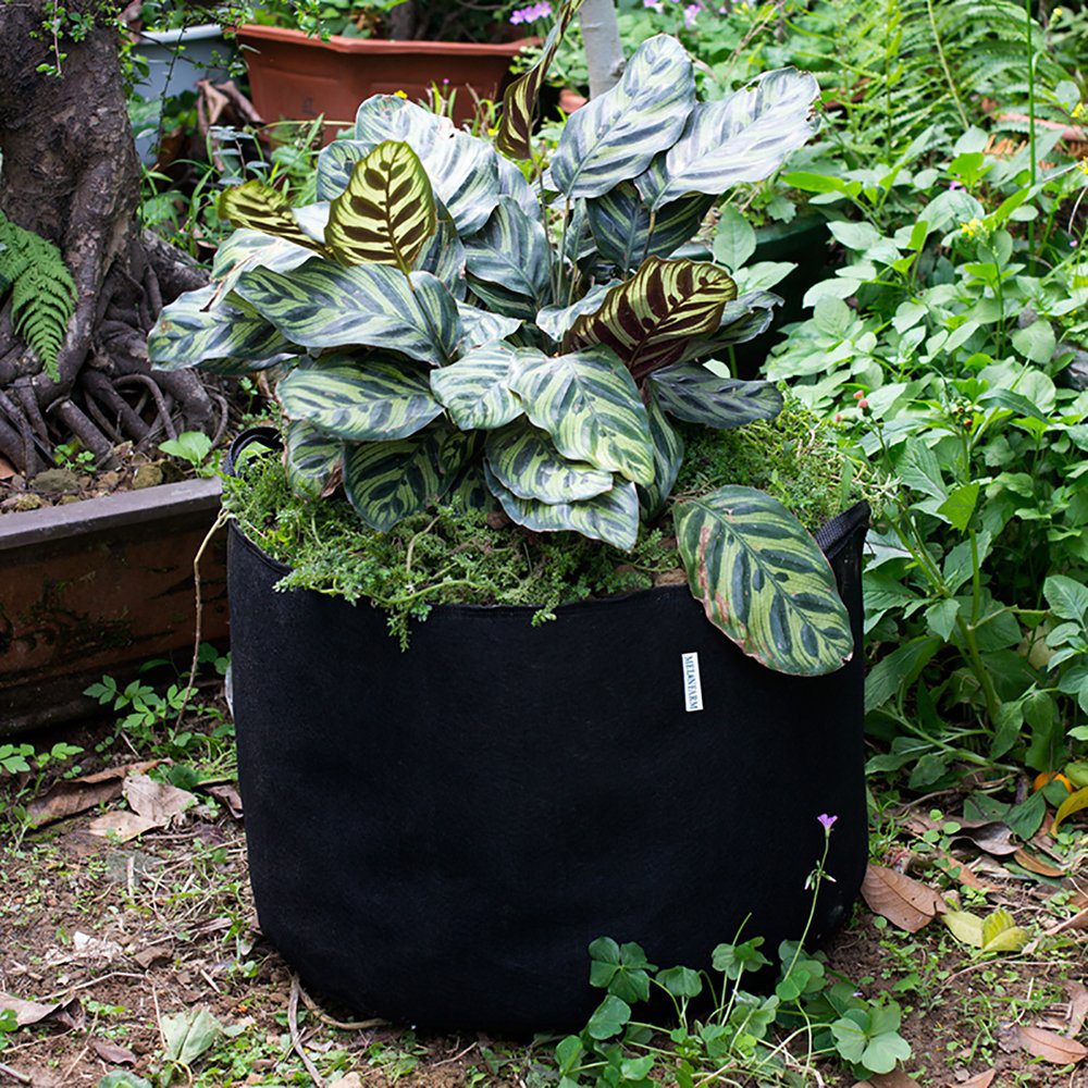 110 Gallon Black Plants Growing Bag Vegetable Aeration