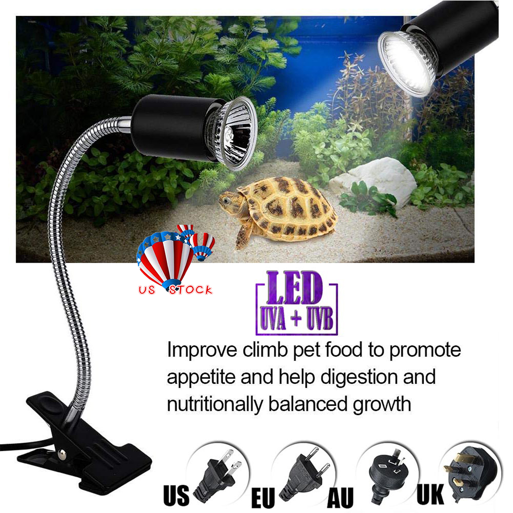 For Pet Reptile Turtle Heat Uva Uvb Lamp Bulb Heating Light Holder Clip Holder Ebay