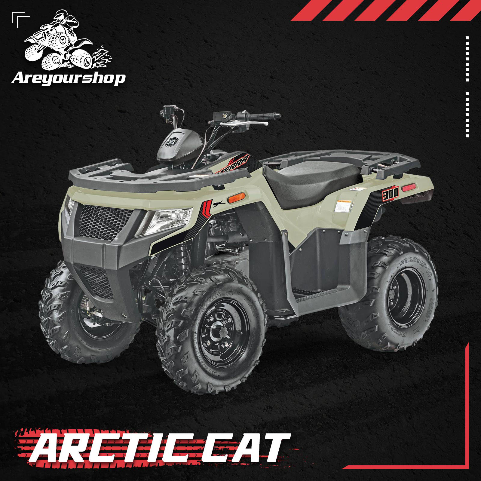 Arctic cat