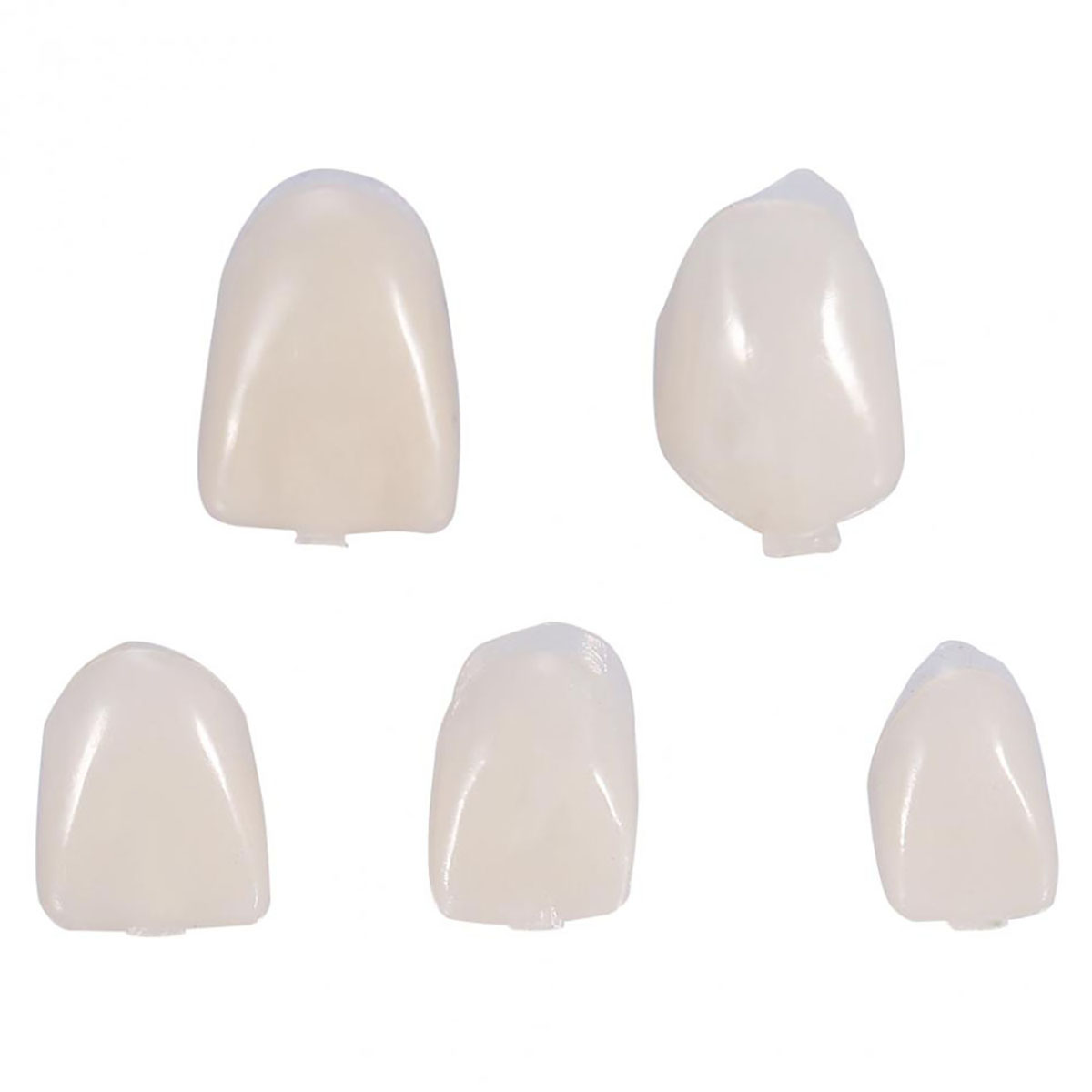 Temporary Dental Crown Material – For Anterior & Molar Teeth (Lab/Professional Use)