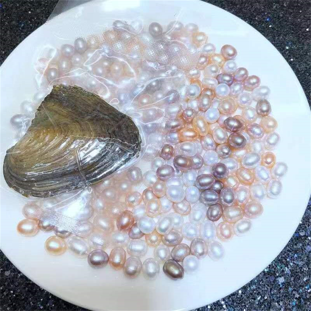 Real pearl oysters for on sale sale