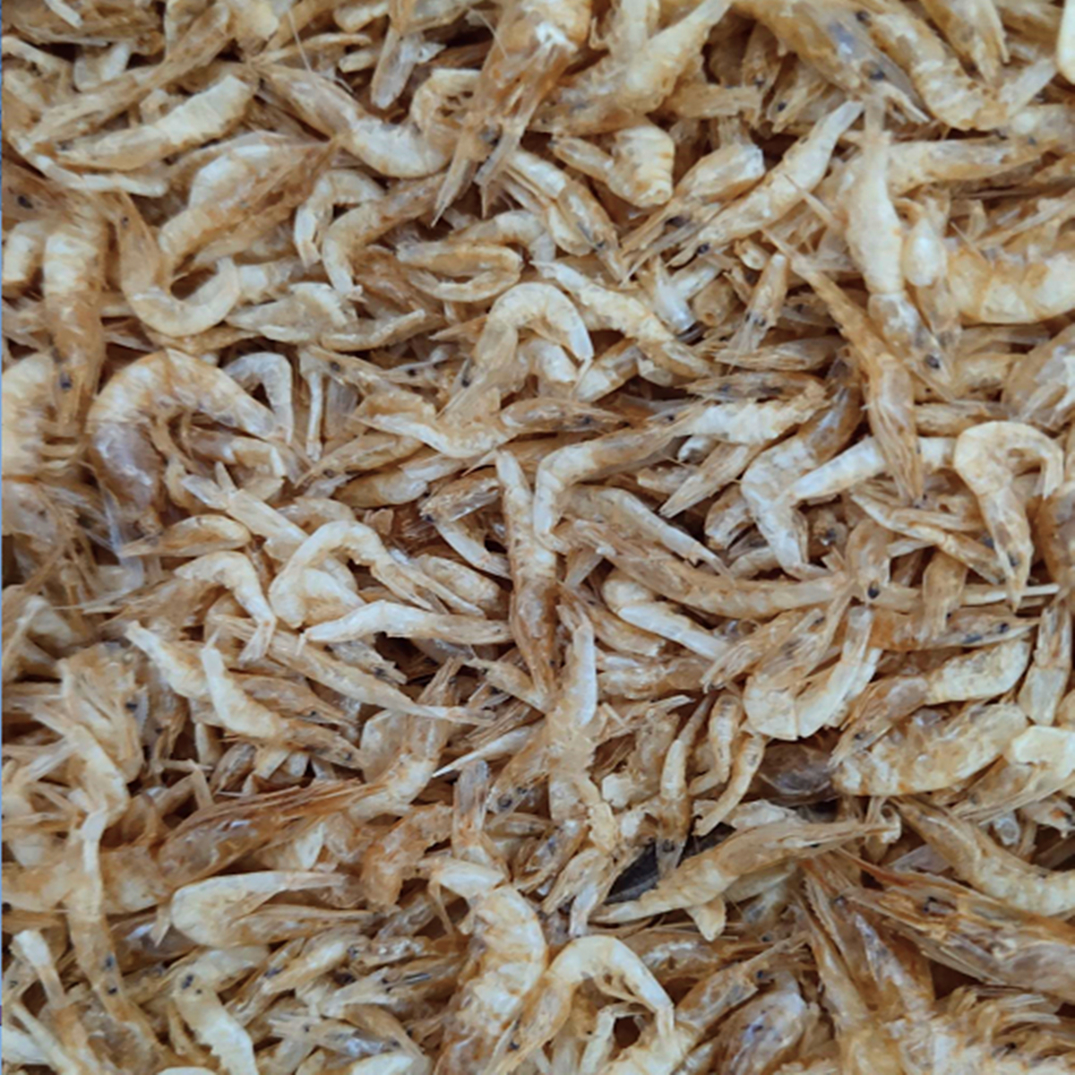 50/100g Freeze Dried Shrimp Krill Aquarium Tank Tropical Fish Turtle