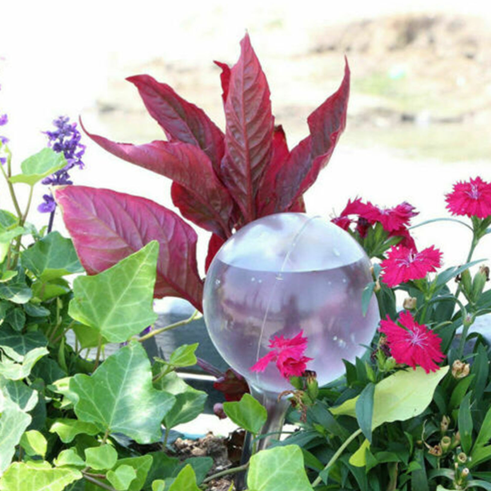 10 pcs Plant Self Watering Globes Automatic Glass Watering