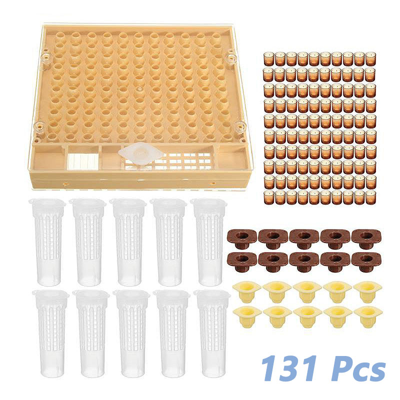 100pcs Plastic Brown Cell Cups Queen Raise Rearing Honey Bee Beekeeping w//Holder