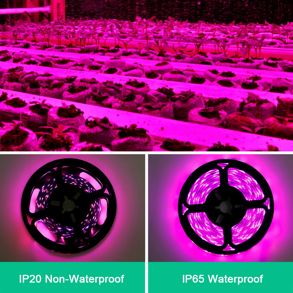 LED Grow Light Strip Waterproof Full Spectrum Lamp For ...