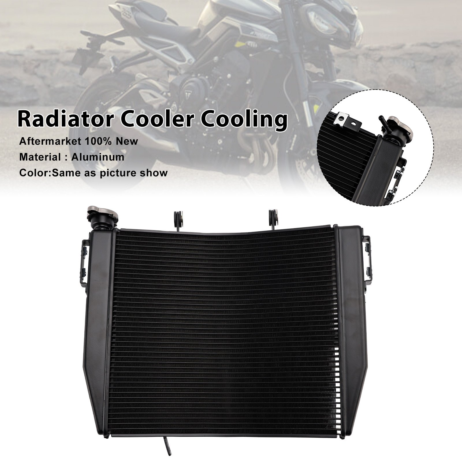 適用於 Triumph Street Triple 765 R/RS 2023-2025 水箱散熱器-極限超快感