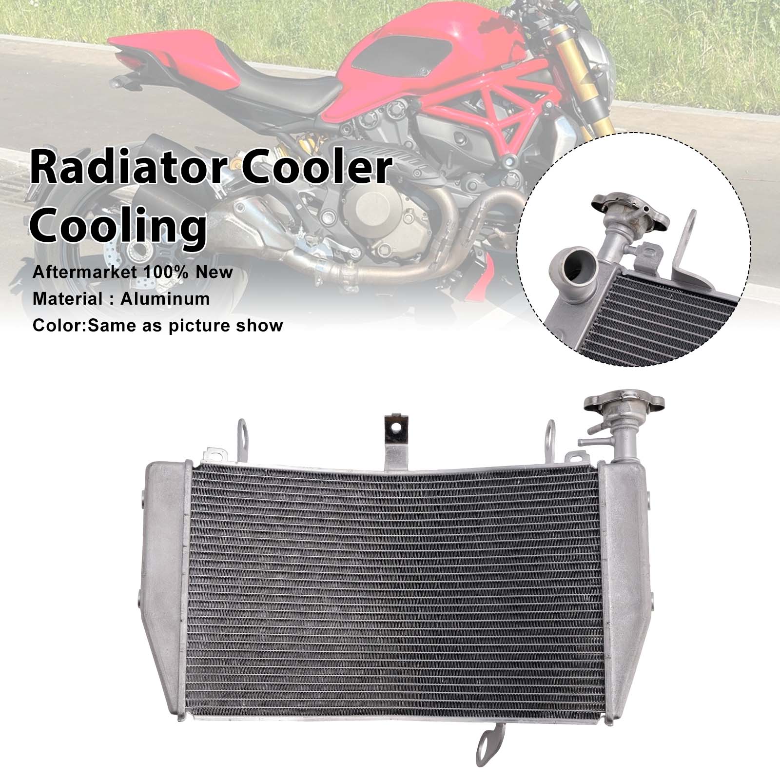 適用於 Ducati Monster 1200 2014-21 821 2015-2021 水箱散熱器-極限超快感