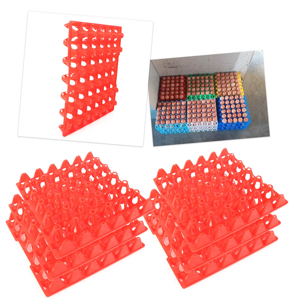 CHICKEN or GUINEA EGG TRAYS for Incubator Holds 30 eggs. Cleaning 4 Storage
