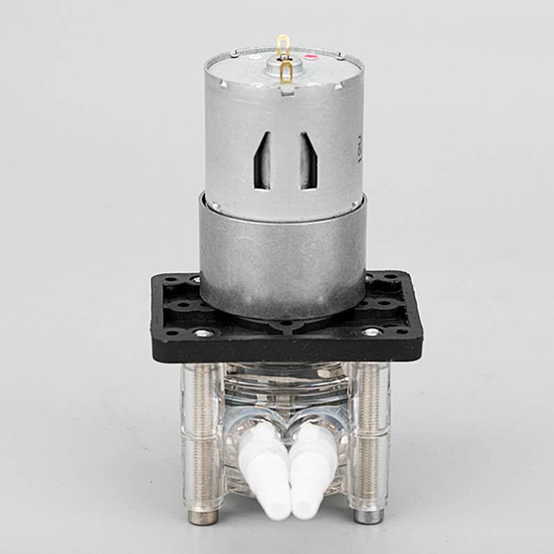 12V/24V Schlauchpumpe DIY Dosierpumpe Peristaltikpumpe Wasserpumpe
