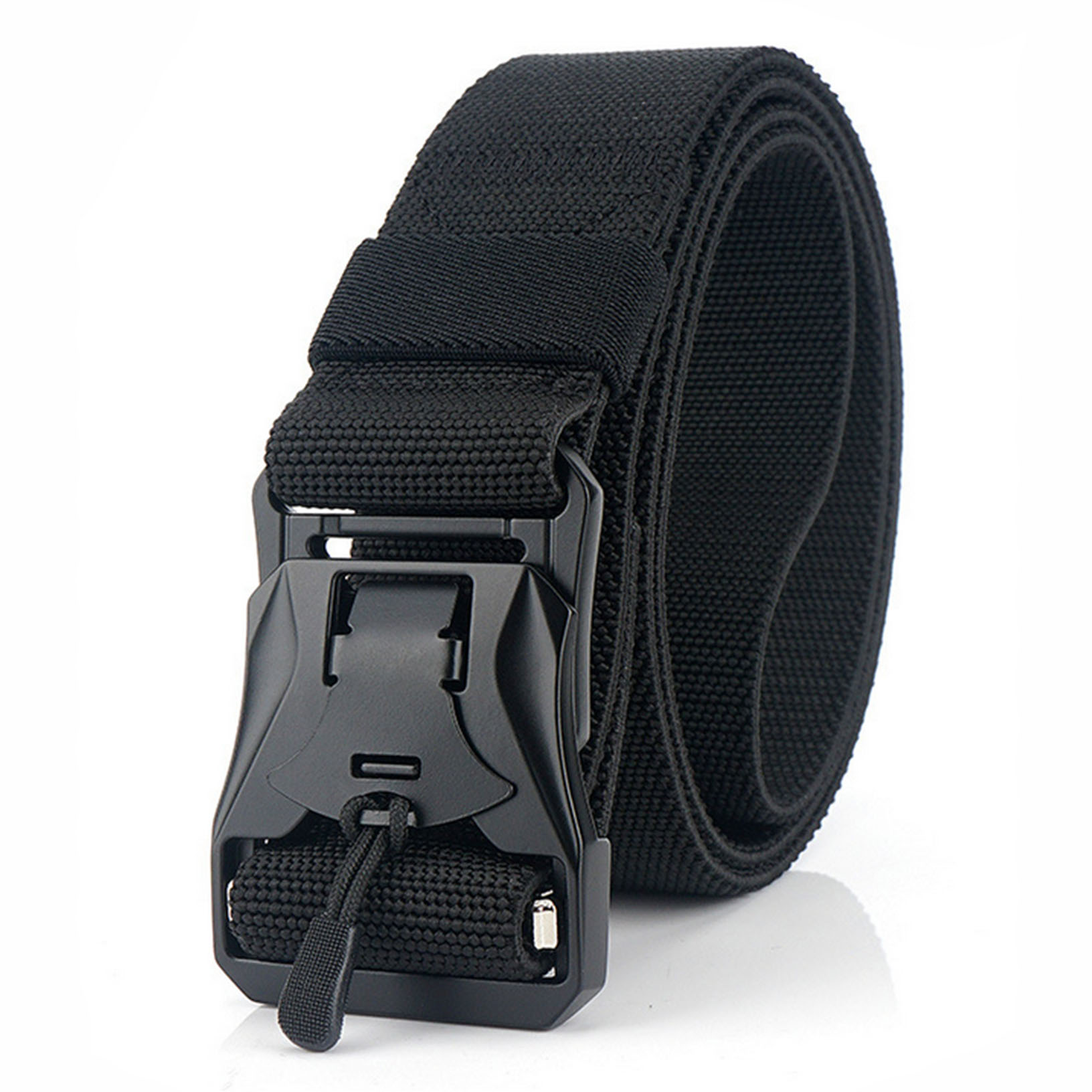 nylon webbing and buckles