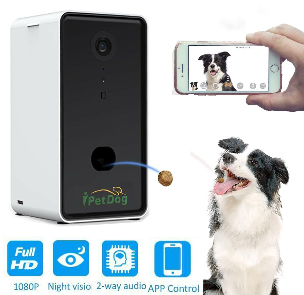 dog vision camera
