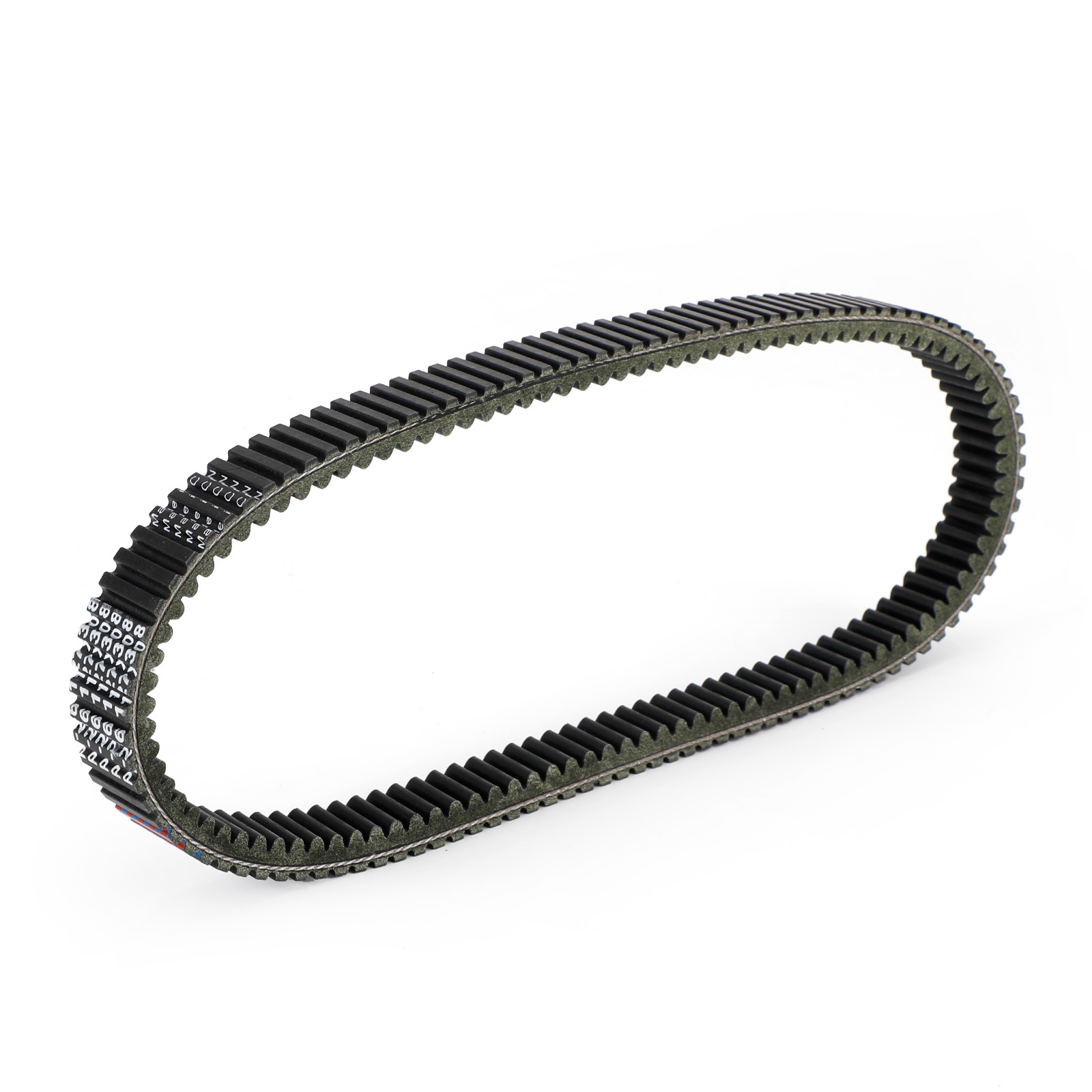 ベルト L'AppartementBorder belt $_57.JPG?set_id=880000500F